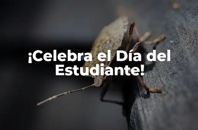 ¡celebra el Día Del Estudiante!