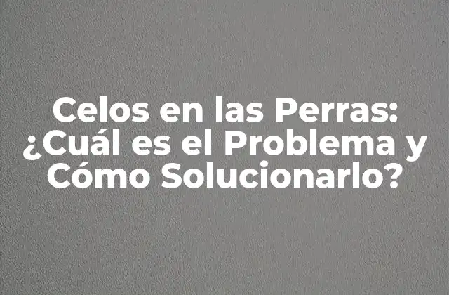 Celos en las Perras: ¿cuál es el Problema y Cómo Solucionarlo?