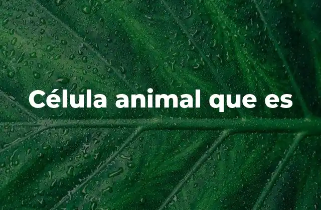 Célula Animal que es