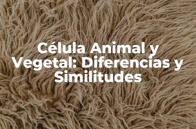 Célula Animal y Vegetal: Diferencias y Similitudes