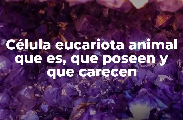 Célula Eucariota Animal que Es, que Poseen y que Carecen