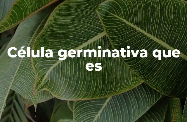 Célula Germinativa que es