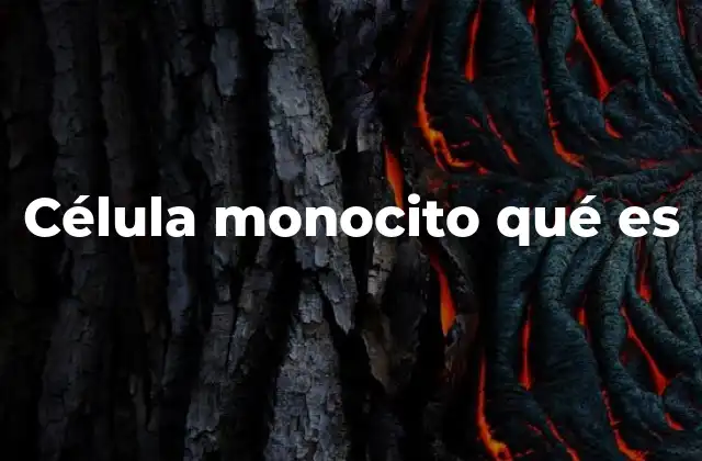 Funciones del monocito en el sistema inmunitario