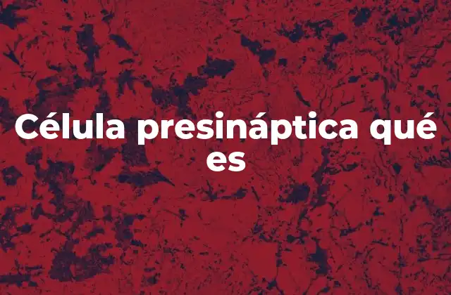 Célula Presináptica Qué es