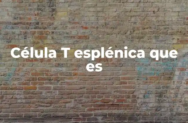 Célula T Esplénica que es