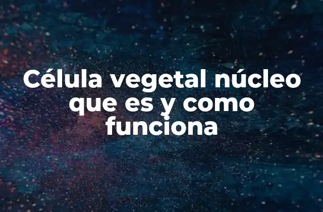 Célula Vegetal Núcleo que es y como Funciona 2 Estructura del núcleo en la célula vegetal