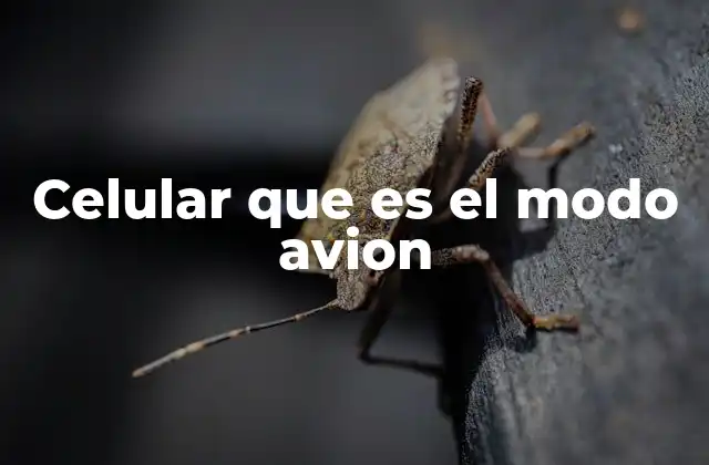 Celular que es el Modo Avion