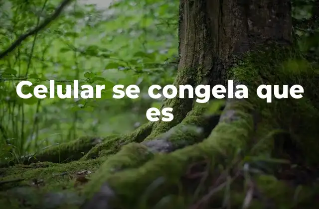 Celular Se Congela que es