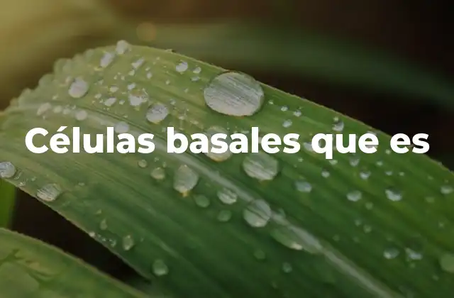 Células Basales que es