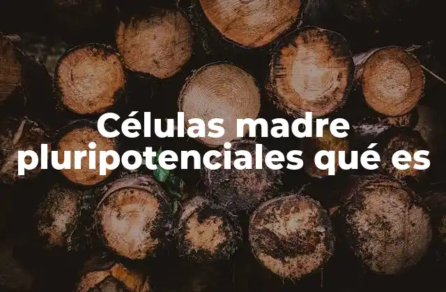 Células Madre Pluripotenciales Qué es