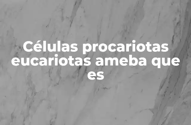 Células Procariotas Eucariotas Ameba que es