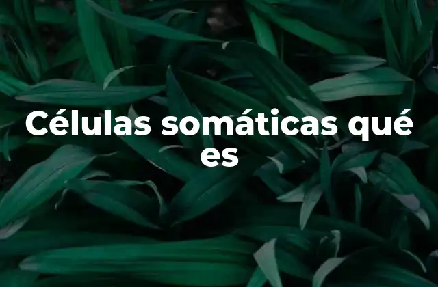 Células Somáticas Qué es