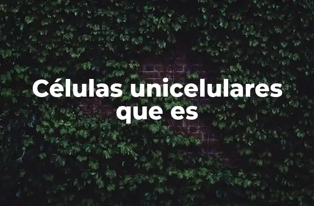 Células Unicelulares que es