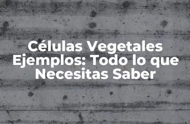 Células Vegetales Ejemplos: Todo Lo que Necesitas Saber