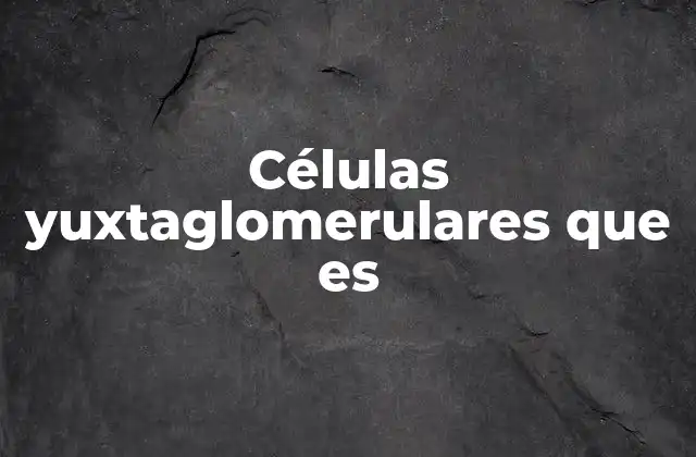 Células Yuxtaglomerulares que es