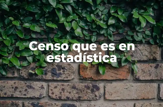 Censo que es en Estadística