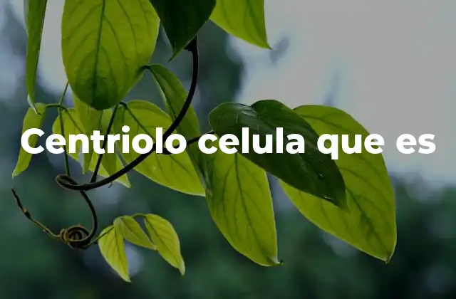 Estructura y ubicación del centriolo en la célula