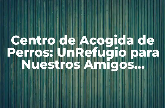 ¿Qué es un Centro de Acogida de Perros?
