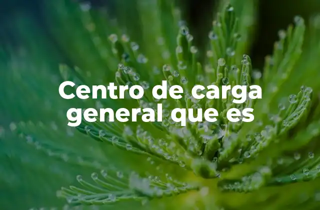 Centro de Carga General que es 2 La importancia de los centros de carga en la logística moderna