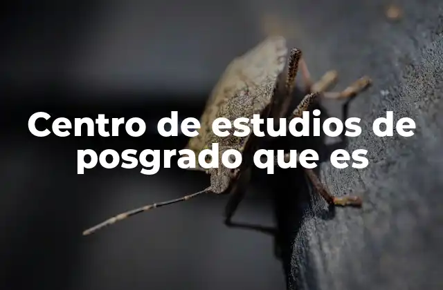 Centro de Estudios de Posgrado que es