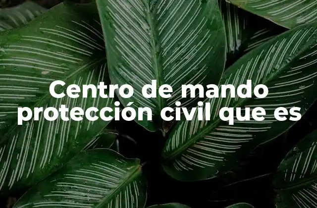 La importancia estratégica del centro de mando en la gestión de emergencias