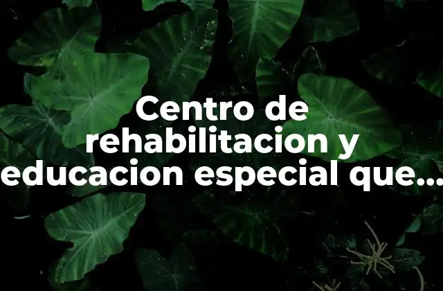 Centro de Rehabilitacion y Educacion Especial que es