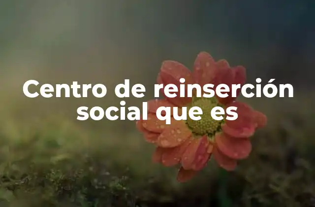 Centro de Reinserción Social que es