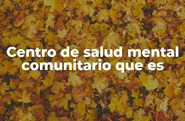 Centro de Salud Mental Comunitario que es