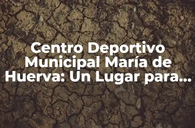 Centro Deportivo Municipal María de Huerva: un Lugar para el Deporte y la Salud