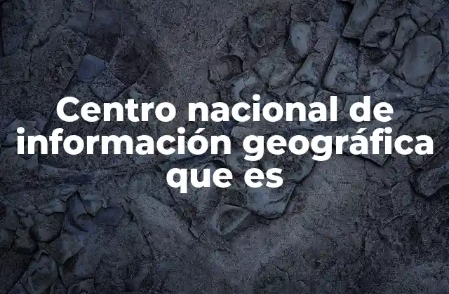 Centro Nacional de Información Geográfica que es