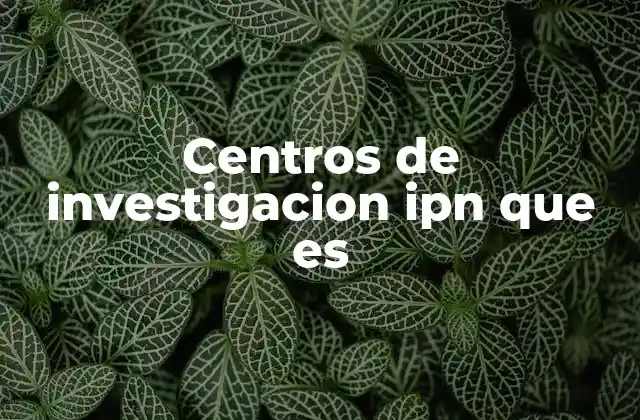 Centros de Investigacion Ipn que es
