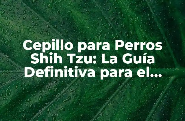 Cepillo para Perros Shih Tzu: la Guía Definitiva para el Cuidado Del Pelo de Tu Mascota
