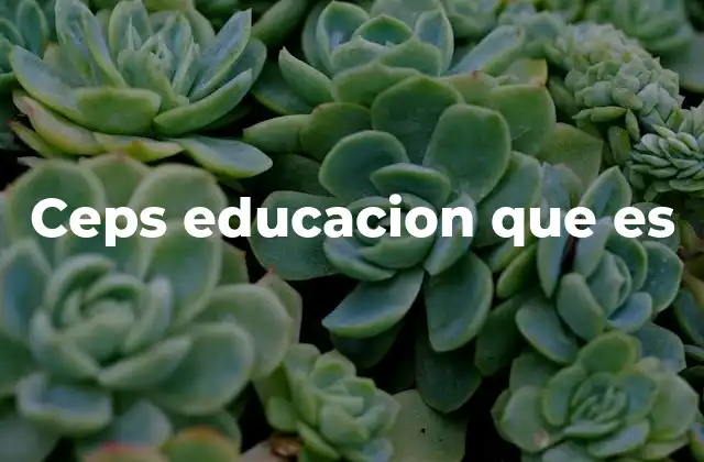 El papel de los centros educativos en la mejora del sistema escolar
