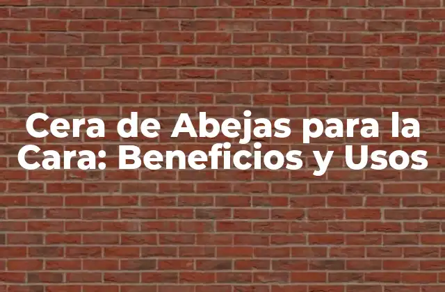 Cera de Abejas para la Cara: Beneficios y Usos 2 ¿Qué es la Cera de Abejas?