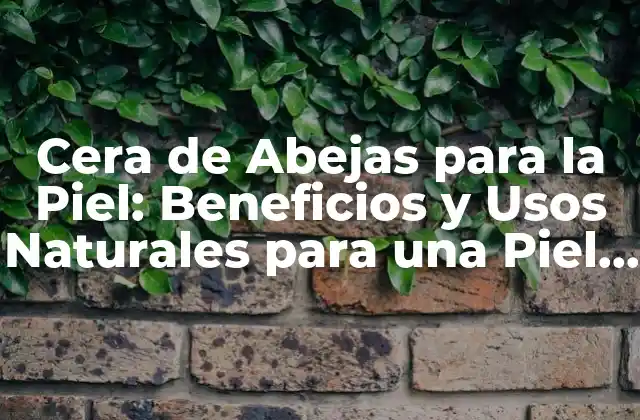 Cera de Abejas para la Piel: Beneficios y Usos Naturales para una Piel Saludable
