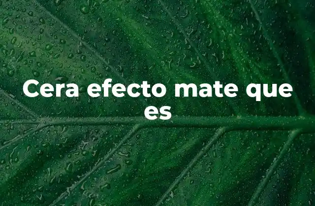 Cera Efecto Mate que es