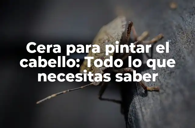 ¿Qué es la cera para pintar el cabello y cómo funciona?