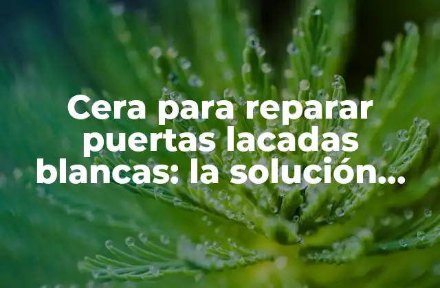 Cera para Reparar Puertas Lacadas Blancas: la Solución Perfecta para Restaurar Su Brillo Original