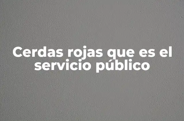 Cerdas Rojas que es el Servicio Público