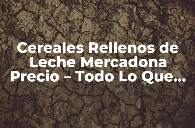 Cereales Rellenos de Leche Mercadona Precio – Todo Lo que Necesitas Saber
