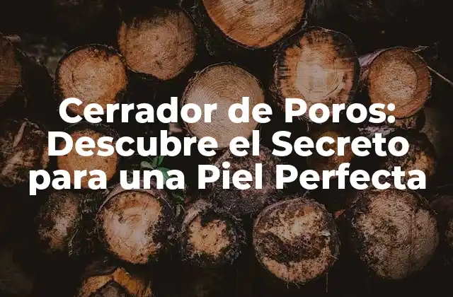 Cerrador de Poros: Descubre el Secreto para una Piel Perfecta