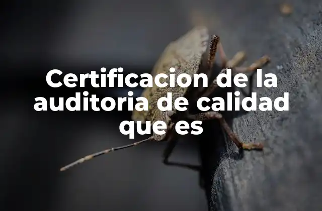 Certificacion de la Auditoria de Calidad que es