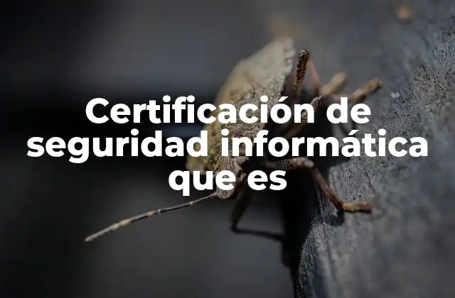 Certificación de Seguridad Informática que es