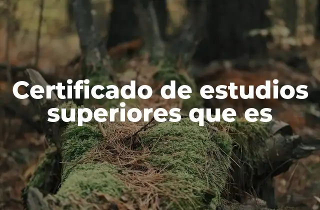 La importancia de acreditar tu formación universitaria