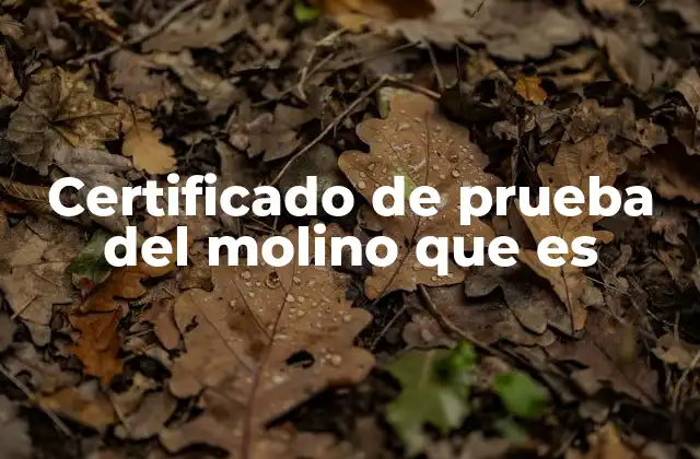 La importancia del certificado de prueba en la industria minera