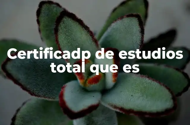 Certificadp de Estudios Total que es