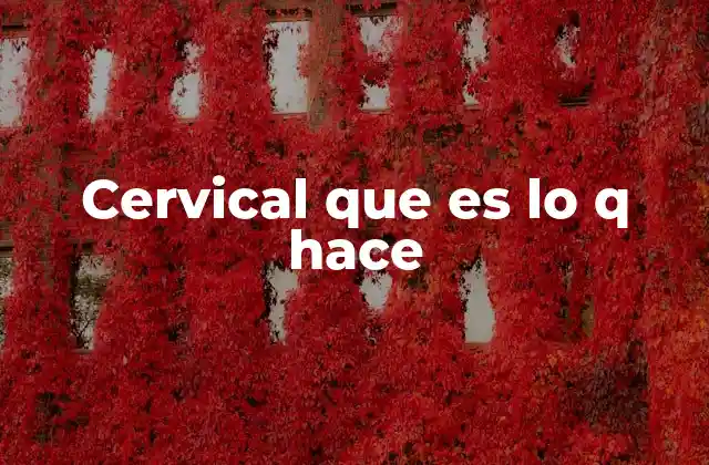 Cervical que es Lo Q Hace 2 La importancia de la columna cervical en la movilidad