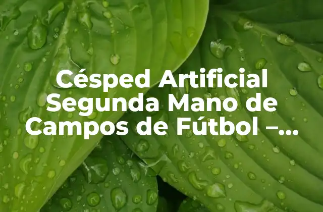 Césped Artificial Segunda Mano de Campos de Fútbol – una Opción Sostenible
