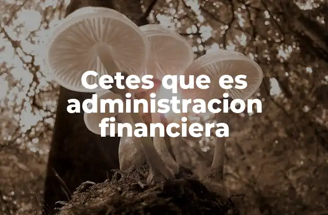 Cetes que es Administracion Financiera