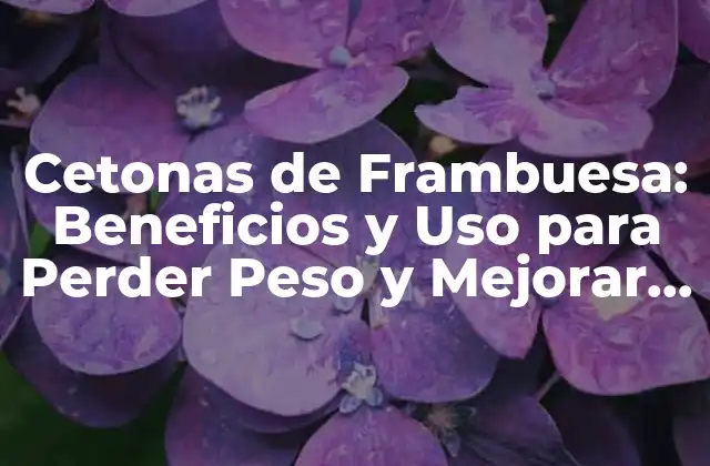 Cetonas de Frambuesa: Beneficios y Uso para Perder Peso y Mejorar la Salud